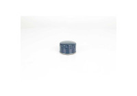 oil filter BSG 75-140-005