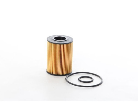 oil filter BSG 85-140-001