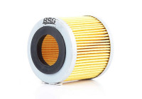 oil filter BSG 90-140-005