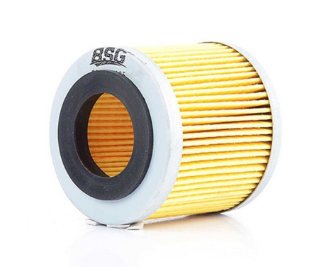 oil filter BSG 90-140-005