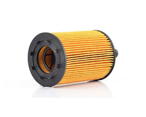 oil filter BSG 90-140-009