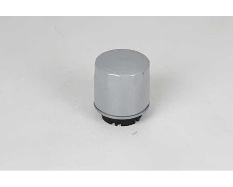 oil filter BSG 90-140-020