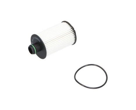 Oil Filter DO-717 AMC Filter, Image 2