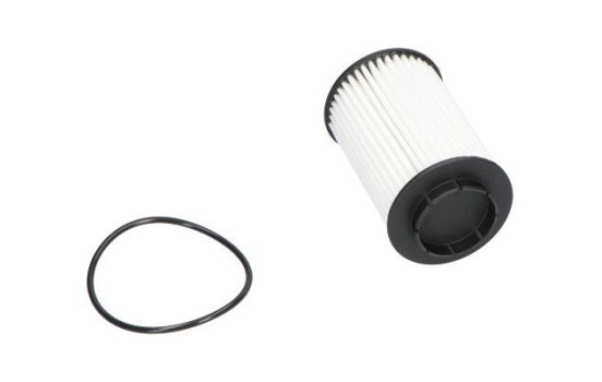 Oil Filter DO-717 AMC Filter, Image 3