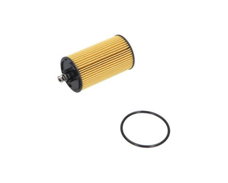 Oil Filter DO-729 AMC Filter