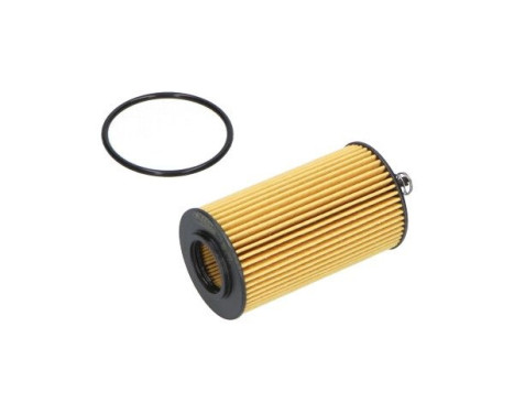 Oil Filter DO-729 AMC Filter, Image 3