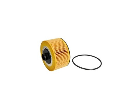 Oil Filter HU 10 002 z Mann