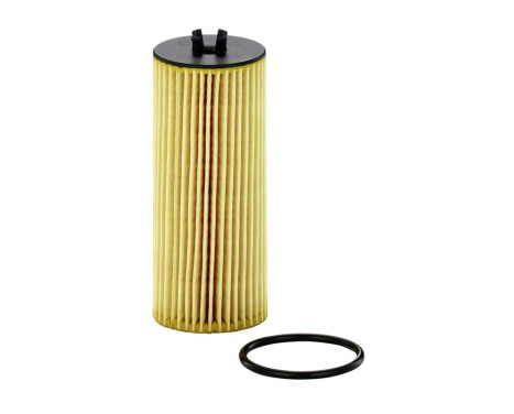 Oil Filter HU 6008 z Mann, Image 5