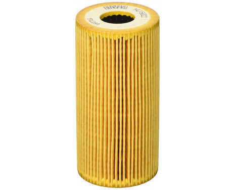 Oil Filter HU 6011 z Mann