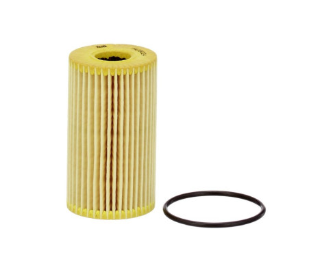 Oil Filter HU 6024 z Mann, Image 2