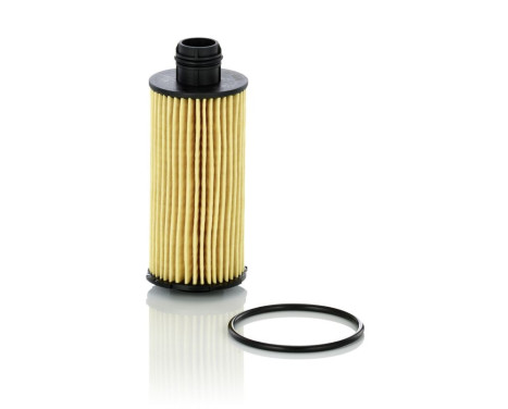 Oil Filter HU 6026 z Mann, Image 3