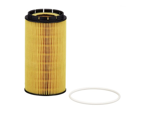 Oil Filter HU 8010 z Mann, Image 2