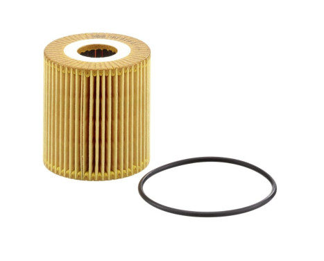 Oil Filter HU 819/1 x Mann, Image 2