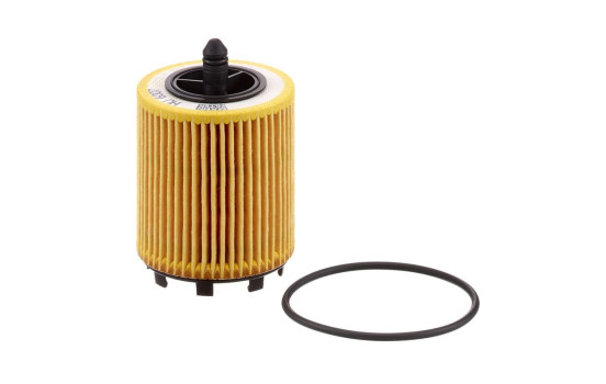Oil Filter HU6007X Mann, Image 3