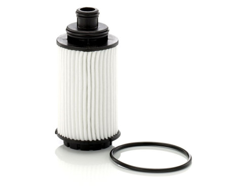 Oil Filter HU6023Z Mann, Image 2