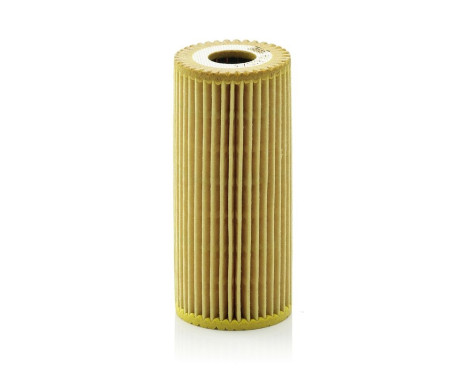 Oil Filter HU6153X Mann, Image 2