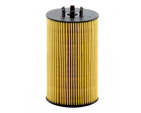 Oil Filter HU8012Z Mann