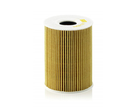 Oil Filter HU9001X Mann