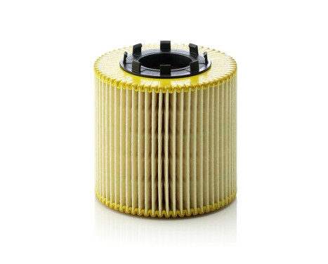 Oil Filter HU923X Mann, Image 2