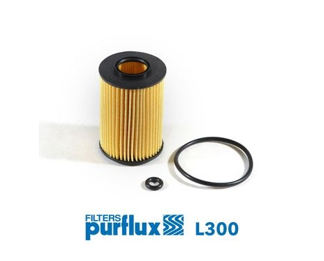 Oil Filter L300 Purflux, Image 2