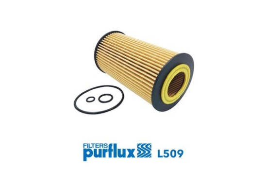 Oil Filter L509 Purflux, Image 2