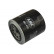 Oil Filter MO-419 AMC Filter