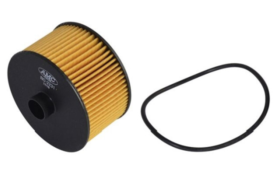 Oil Filter NO-2231 AMC Filter
