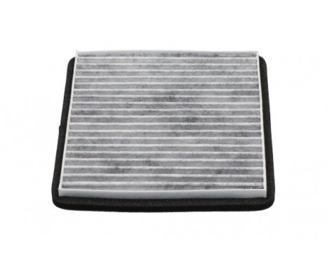 AMC Cabin filter Carbon DC-7112C Kavo parts