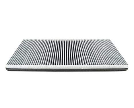 Cabin filter BSG 15-145-003