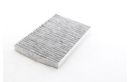 Cabin filter BSG 25-145-019