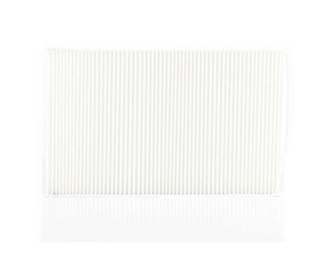 Cabin filter BSG 90-145-007