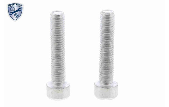 Hydraulic Filter, all-wheel-drive coupling EXPERT KITS + V48-0263 VAICO, Image 2