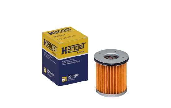 Hydraulic filter, automatic transmission, Image 2