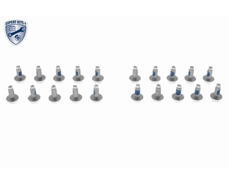 Hydraulic Filter Set, automatic transmission EXPERT KITS + V20-0335 VAICO, Image 3