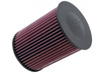 K&N vervangingsfilter passend voor Ford C-Max/Ford Escape, Focus, Grand C-max, Kuga, Tourneo Connect