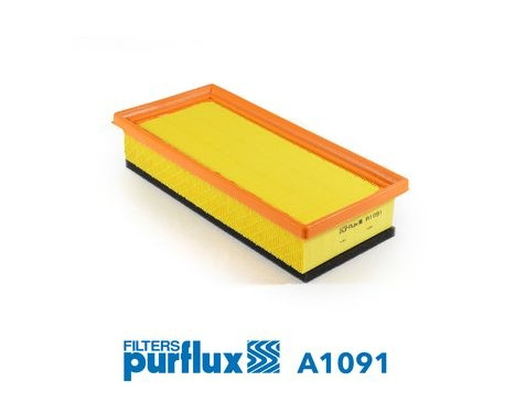 Filtre à air A1091 Purflux