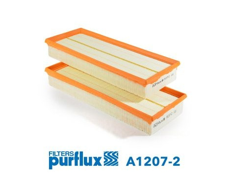 Filtre à air A1207-2 Purflux