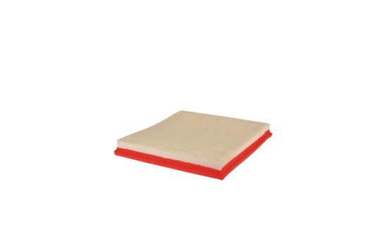 Filtre à air AP 030/2 Filtron