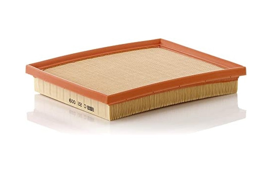 Filtre à air C 22 009 Mann