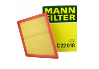 Filtre à air C 22 018 MANN-FILTER