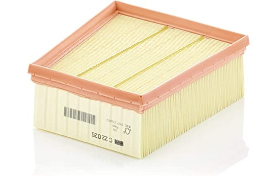 Filtre à air C 22 026 MANN-FILTER