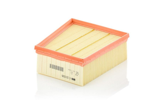 Filtre à air C 22 026 MANN-FILTER, Image 2