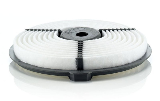 Filtre à air C 2223 MANN-FILTER, Image 2