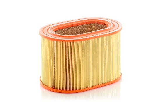 Filtre à air C 24 135 MANN-FILTER, Image 2