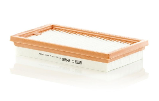 Filtre à air C 2420 Mann, Image 3