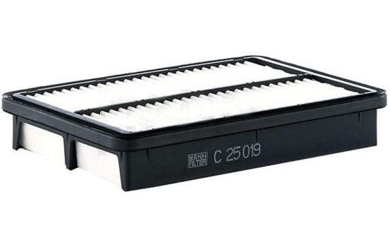 Filtre à air C 25 019 MANN-FILTER