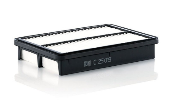 Filtre à air C 25 019 MANN-FILTER, Image 2
