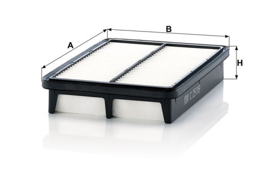 Filtre à air C 25 019 MANN-FILTER, Image 3