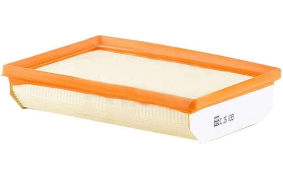 Filtre à air C 25 033 MANN-FILTER