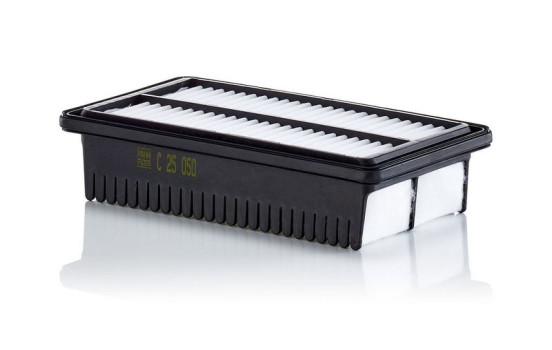 Filtre à air C 25 050 MANN-FILTER